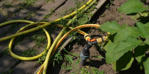 Zavlažovací hadice - kterou z nich je lepší vybrat pro zahradu a letní sídlo